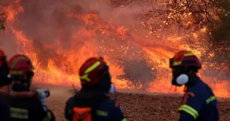 Des pompiers luttent contre le feu près du village d'Agia Paraskevi, au nord-est d'Athènes, le 2 août 2026.