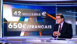 Annuler la dette grecque ne coûterait pas 650 euros par Français Le chef du service économique de TF1 présente les résultats de son «calcul» au JT de 20 heures du 26 janvier. (Capture d'écran)