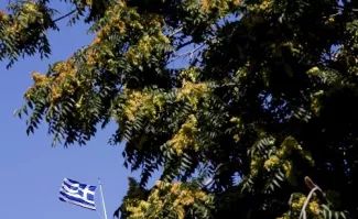 La Troïka est de retour en Grèce sous forme de quartet. Et elle a des exigences. (Crédits : Reuters)


