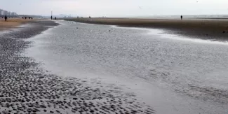 Naufrage d'un pétrolier près d'Athènes : les équipes de secours tentent de canaliser la ... Naufrage d'un pétrolier près d'Athènes : les équipes de secours tentent de canaliser la .