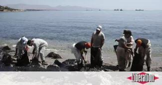 En Grèce, après la marée, de noires critiques Nettoyage d'une plage de Salamine, le 12 septembre 2017.