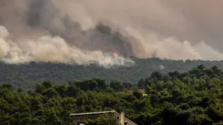 La fumée s'élève au-dessus de Kineta, près d'Athènes, en proie à un feu de forêt le 23 juillet 2018


