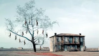 Les trésors du cinéaste Théo Angélopoulos détruits dans les incendies en Grèce Les trésors du cinéaste Théo Angélopoulos détruits dans les incendies en Grèce.