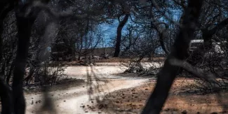 L'incendie qui a ravagé l'Attique a fait 93 morts et plusieurs dizaines de blessés@ ANGELOS TZORTZINIS / AFP


