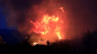 La Grèce en proie aux flammes : plus de 50 incendies dus au vent et à la canicule La Grèce en proie aux flammes : plus de 50 incendies dus au vent et à la canicule.