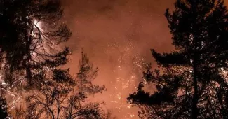 « Catastrophe écologique » sur l'île grecque d'Eubée ravagée par les flammes « Catastrophe écologique » sur l'île grecque d'Eubée ravagée par les flammes.