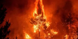 L'île d'Eubée, en Grèce, ravagée par un terrible incendie : "une catastrophe écologique" L'île d'Eubée, en Grèce, ravagée par un terrible incendie : "une catastrophe écologique".