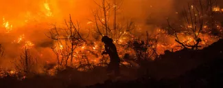 Un important incendie provoque une «catastrophe écologique» sur l’île grecque d’Eubée Un important incendie provoque une «catastrophe écologique» sur l’île grecque d’Eubée.