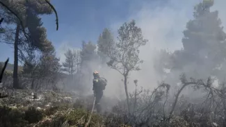 Grèce: des progrès contre l'incendie qui ravage l'île d'Eubée Grèce: des progrès contre l'incendie qui ravage l'île d'Eubée.