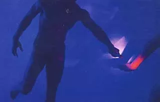 orbleu