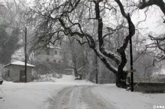 neige metaxochori
