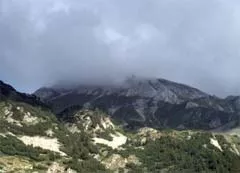 pirin