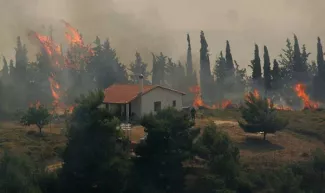 incendies varnavas