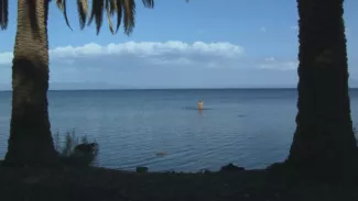 Preview image for the video "Nostos VOD".