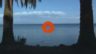 Preview image for the video "Nostos VOD".