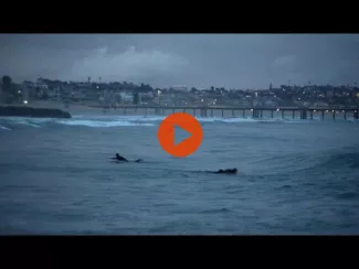 Preview image for the video "Σtella - Way To Go (Official Video)".