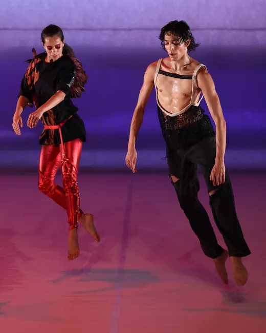 Les oiseaux - Lenio Kaklea