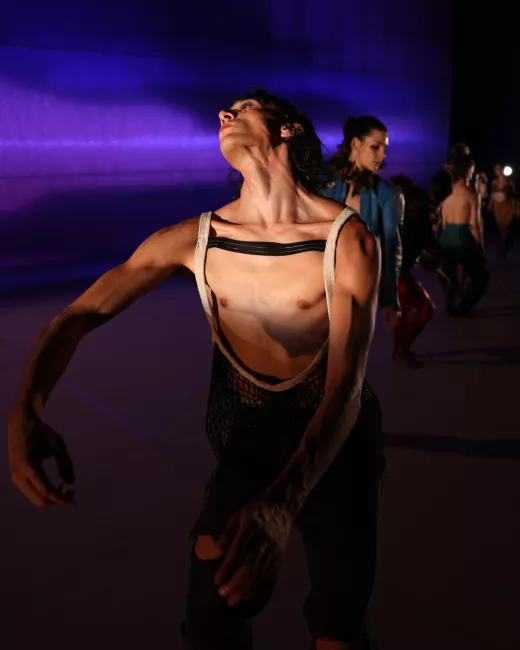 Les oiseaux - Lenio Kaklea