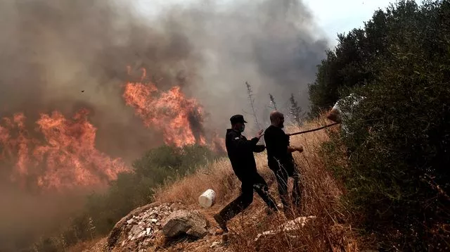 Un incendie aux portes d'Athènes le 17 juillet 2015


