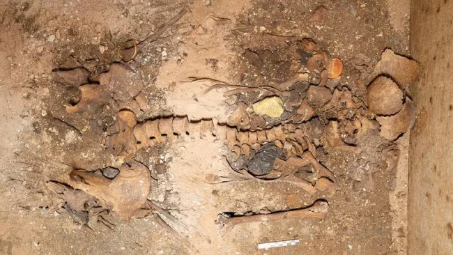 Qui était Neko, une aristocrate enterrée avec ses bijoux il y a 1800 ans dans les Cyclades ?.