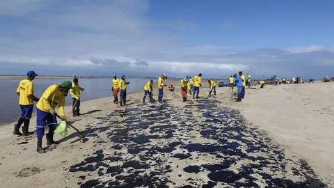 Marée noire au Brésil : le tanker grec mis en cause nie toute implication.