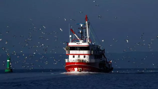 Les pêcheurs grecs de dorade noire sont menacés par leur collègues turcs dans la mer Égée en raison notamment d'un conflit maritime et économique. Umit Bektas/REUTERS


