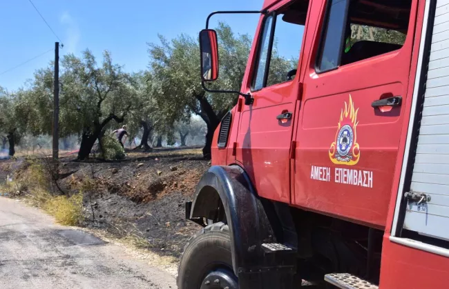 Évacuations en Grèce: Près de 180 pompiers luttent contre un feu de forêt.