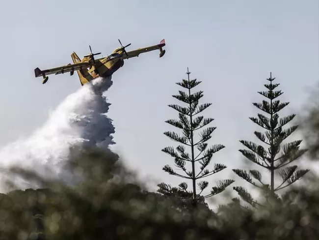 Incendie en Grèce: Il reste toujours des foyers actifs à l’ouest d’Athènes.