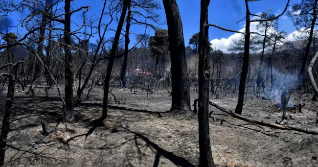 Troisième jour d'incendie dans la région d'Athènes, une «immense catastrophe écologique».
