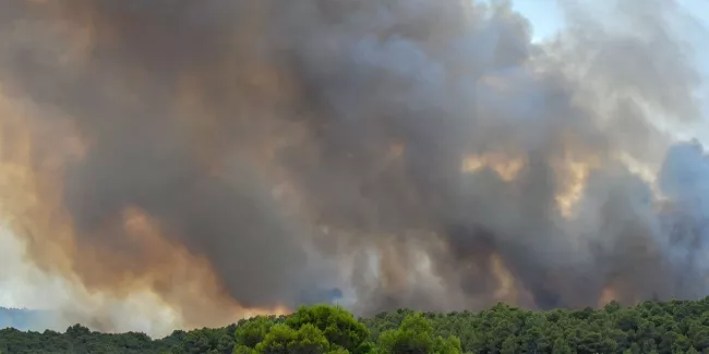 Enorme incendie dans le sud de Chypre, l'UE et Israël appelés à la rescousse.