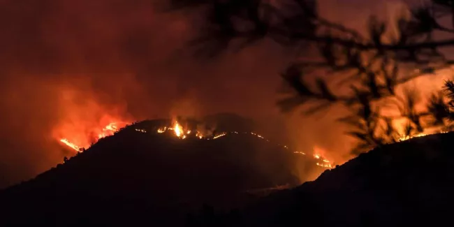 Chypre: quatre morts dans le "pire incendie" depuis des années sur l'île.