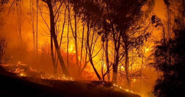 A Chypre, «le pire incendie depuis 1974».