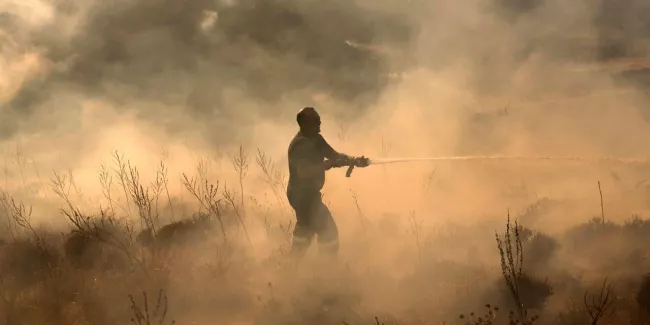 Le pire incendie à Chypre maîtrisé après deux jours de lutte contre les flammes.