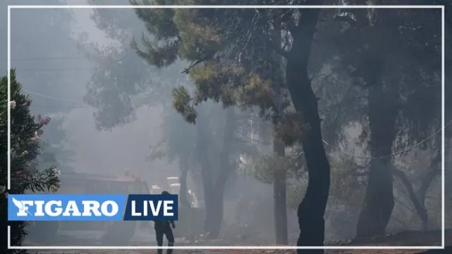 Incendie à Athènes : un apiculteur de 64 ans arrêté, le feu est désormais «sous contrôle».