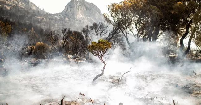 En Grèce, la lutte contre les incendies se poursuit.