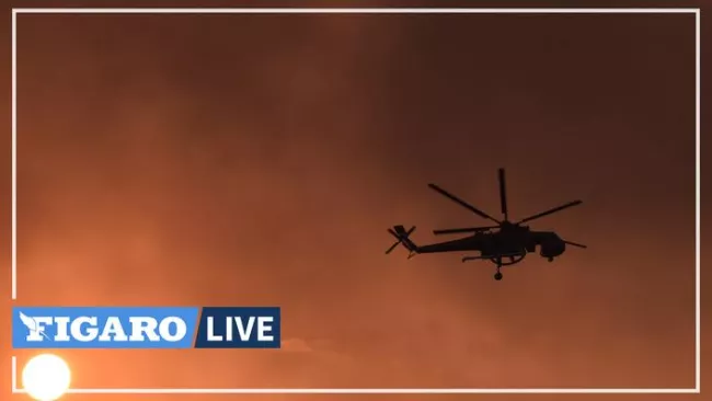 Incendies en Grèce: désespoir sur l'île d'Eubée en flammes.