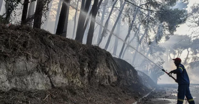 Un pompier grec noie les arbres près du village de Thrakomakedones, au nord d'Athènes, samedi.


