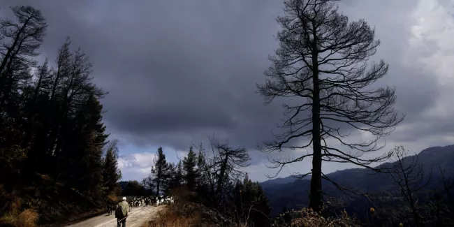 La Grèce espère que les premières averses sonnent la fin des incendies, après deux semaines de canicule.