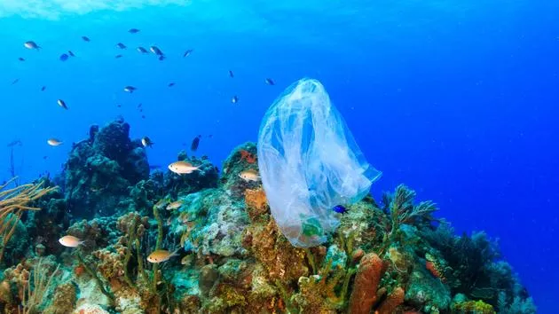La Grèce produit 700.000 tonnes de déchets plastiques par an, soit 68 kg par habitant, dont 11.500 tonnes échouent en mer. Richard Whitcombe/whitcomberd - stock.adobe.com


