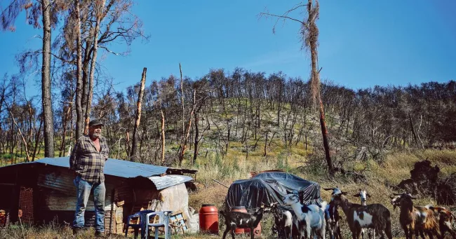 En Grèce, l’île d’Eubée hantée par la menace du feu.