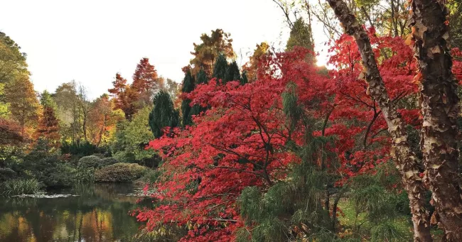 Dans le secret des jardins de Varengeville-sur-Mer, l’olympe des jardiniers.