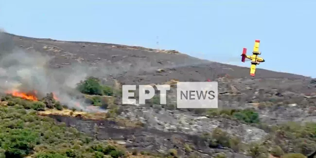 Incendies en Grèce : les pilotes de Canadair paient encore un lourd tribut.