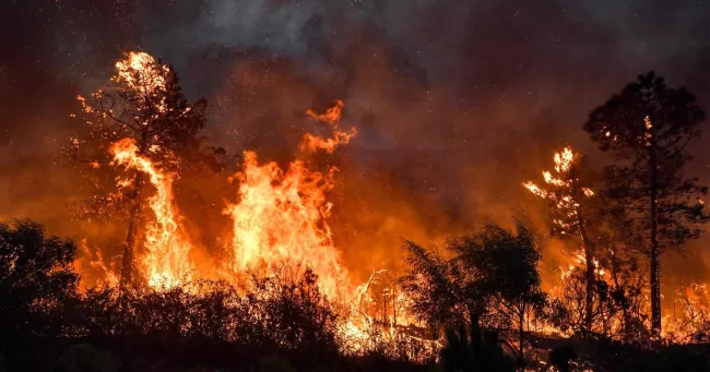 Grèce, Italie, Algérie, Tunisie, Espagne : la Méditerranée encerclée par les flammes.
