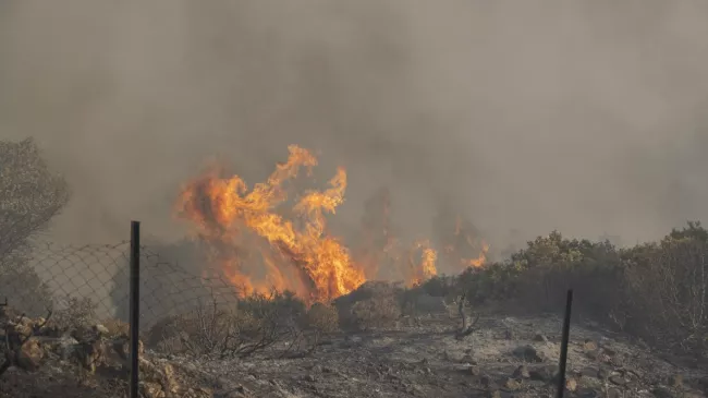 Incendies en Grèce: comment la Belgique a géré la crise à Rhodes.
