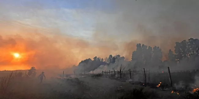 Grèce, Italie, Algérie… Le point sur les incendies meurtriers qui font rage.