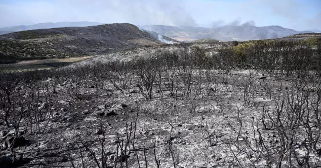 EN DIRECT - Incendies autour de la Méditerranée : après les îles, le centre de la Grèce s’embrase à son tour.