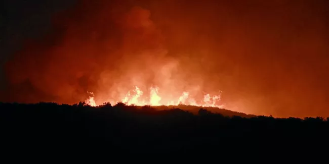 Les incendies en Grèce (comme ici à Volos) mettent en danger l'écosystème du pays.  © SAKIS MITROLIDIS / AFP


