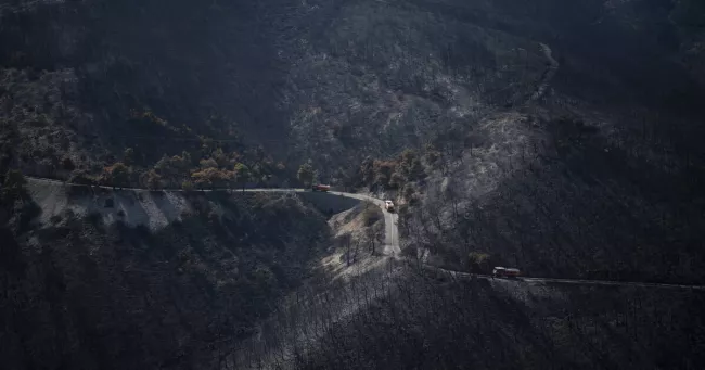En Grèce, les zones brûlées par les incendies de l’été vont dépasser les 150 000 hectares.