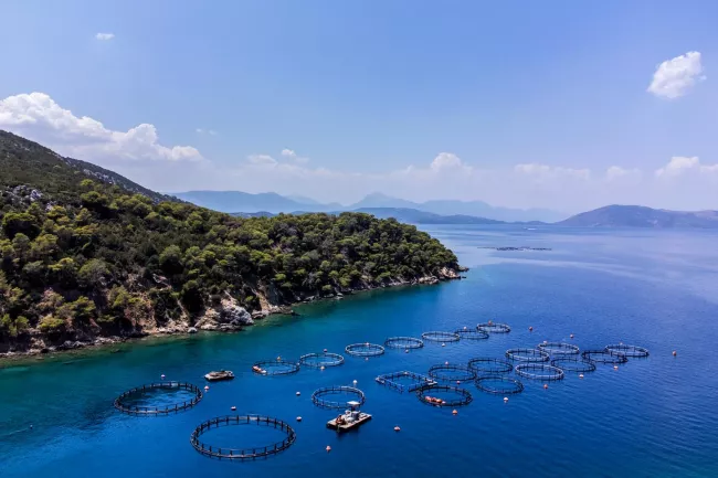 Les fermes piscicoles sur l'île de Poros, le 5 juillet 2023. ANGELOS TZORTZINIS / AFP