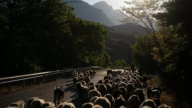 Photo d'archives -  Tous droits réservés  AP Photo